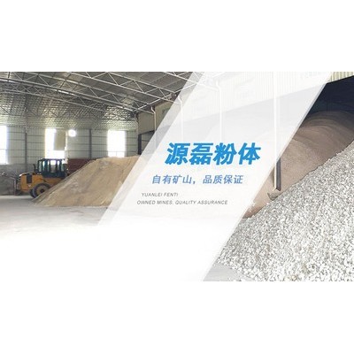 廣東源磊粉體 生產(chǎn)超細透明粉,透明紙,透明顏料,PVC透明管 透明性好 白度95 **