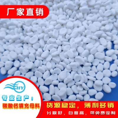 廣東浩洋 PP注塑填充母料生產廠家 母料批發(fā)