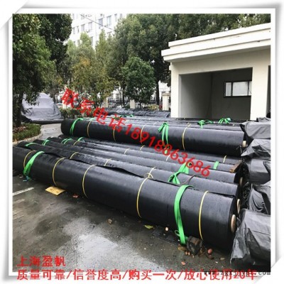 設(shè)計(jì)高密度聚乙烯膜 盈帆牌廣泛應(yīng)用于環(huán)保環(huán)衛(wèi)、水利、市政工程、人造景觀、鹽業(yè)等防滲工程 歡迎選購(gòu)