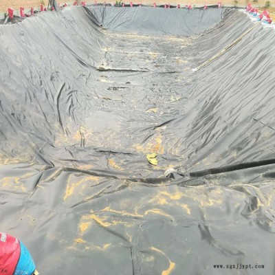 藕池防滲土工膜 環(huán)保HDPE防滲膜  魚(yú)池養(yǎng)殖防滲膜 HDPE養(yǎng)殖防滲膜