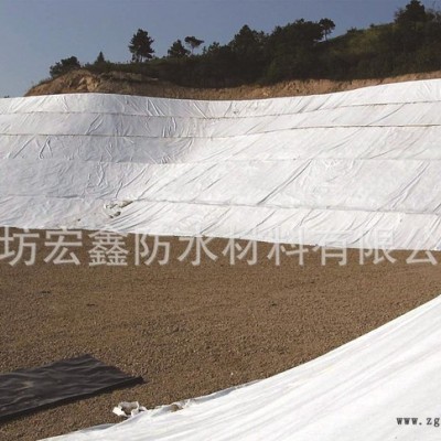 HDPE土工膜 直銷 防水材料采購(gòu) 歡迎來電咨詢