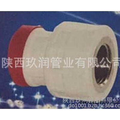 玖潤管業(yè)——德標(biāo)牌PP-R內(nèi)螺紋直通