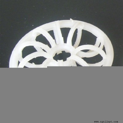 供應PP PVC CPVC 花環(huán)