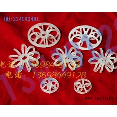 泰勒花環(huán)填料、燈籠環(huán)、科斯特、雪花環(huán)、帶刺，規(guī)格多品種全塑料傳質(zhì)設(shè)備填料鋼鐵脫硫 聚丙烯PP PVC CPVC