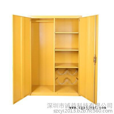 供應(yīng)SYSBEL西斯貝爾緊急器材柜 PPE柜 防護(hù)用品儲存柜 WA910450 特價