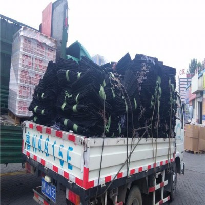 致辰聚酯纖維(PET) 生態(tài)袋  內(nèi)河整治生態(tài)袋   生態(tài)袋價格