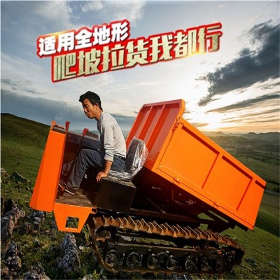 山東履帶式運輸車 高載重強(qiáng)勁動力柴油履帶車 工程橡膠履帶輸送設(shè)備
