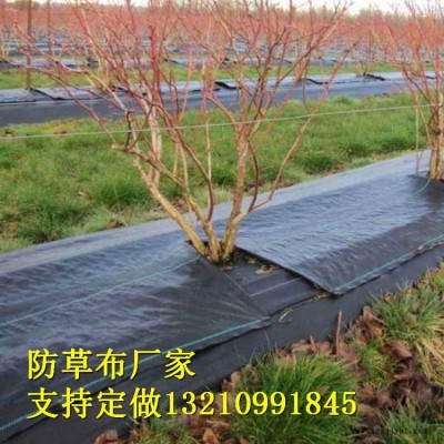 山東德州宇潤(rùn)土工材料廠家-加工定制防草布工農(nóng)業(yè)用塑料制品編織防草布-可降解果樹果園防草布果園園林防草布-花卉防草專用布