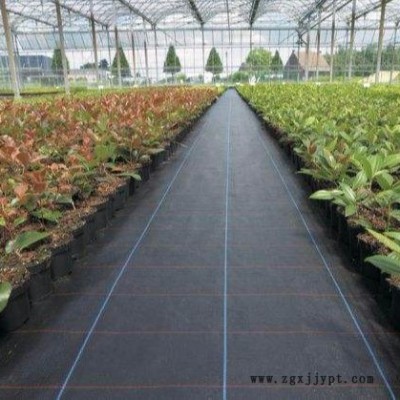 廠家黑色防草布 工農(nóng)業(yè)用大棚果園防草地布 遮陽(yáng)pp除草布