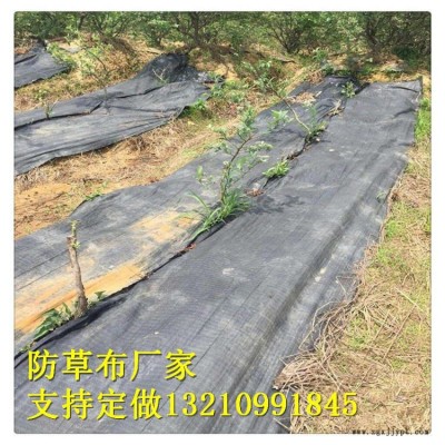 園藝地布廠家，果園園林防草布 室內(nèi)花盆擺放地布 廠家質(zhì)量好價(jià)格合理