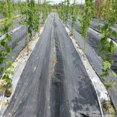 黑色90克防草布 果樹(shù)種植防草布 山東pp防草布生產(chǎn)廠家