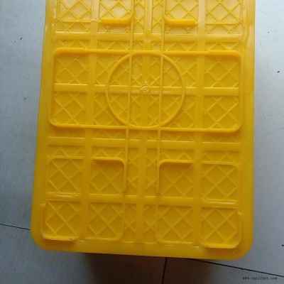 泥鰍箱，臨沂泥鰍周轉(zhuǎn)箱，塑料泥鰍箱
