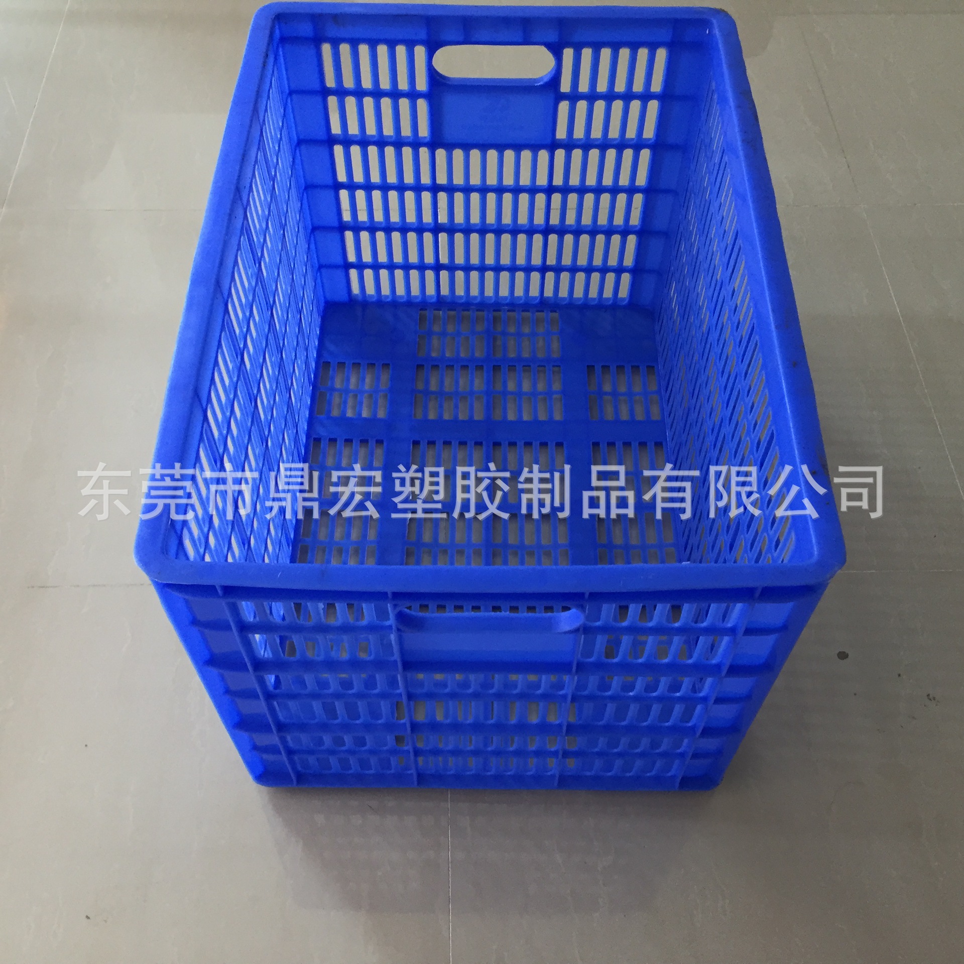 B4號(hào)蘿 (3)