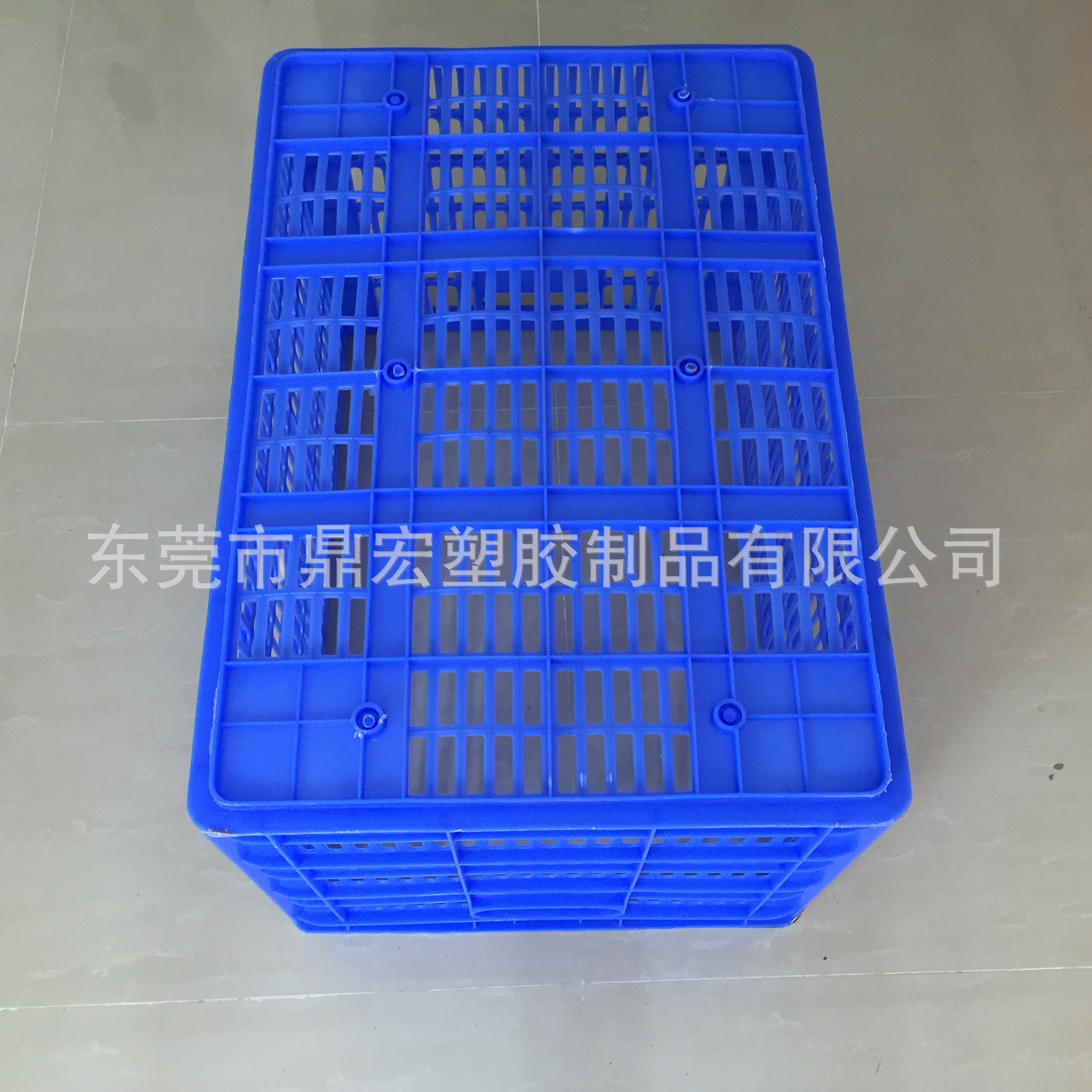 B4號(hào)蘿 (1)