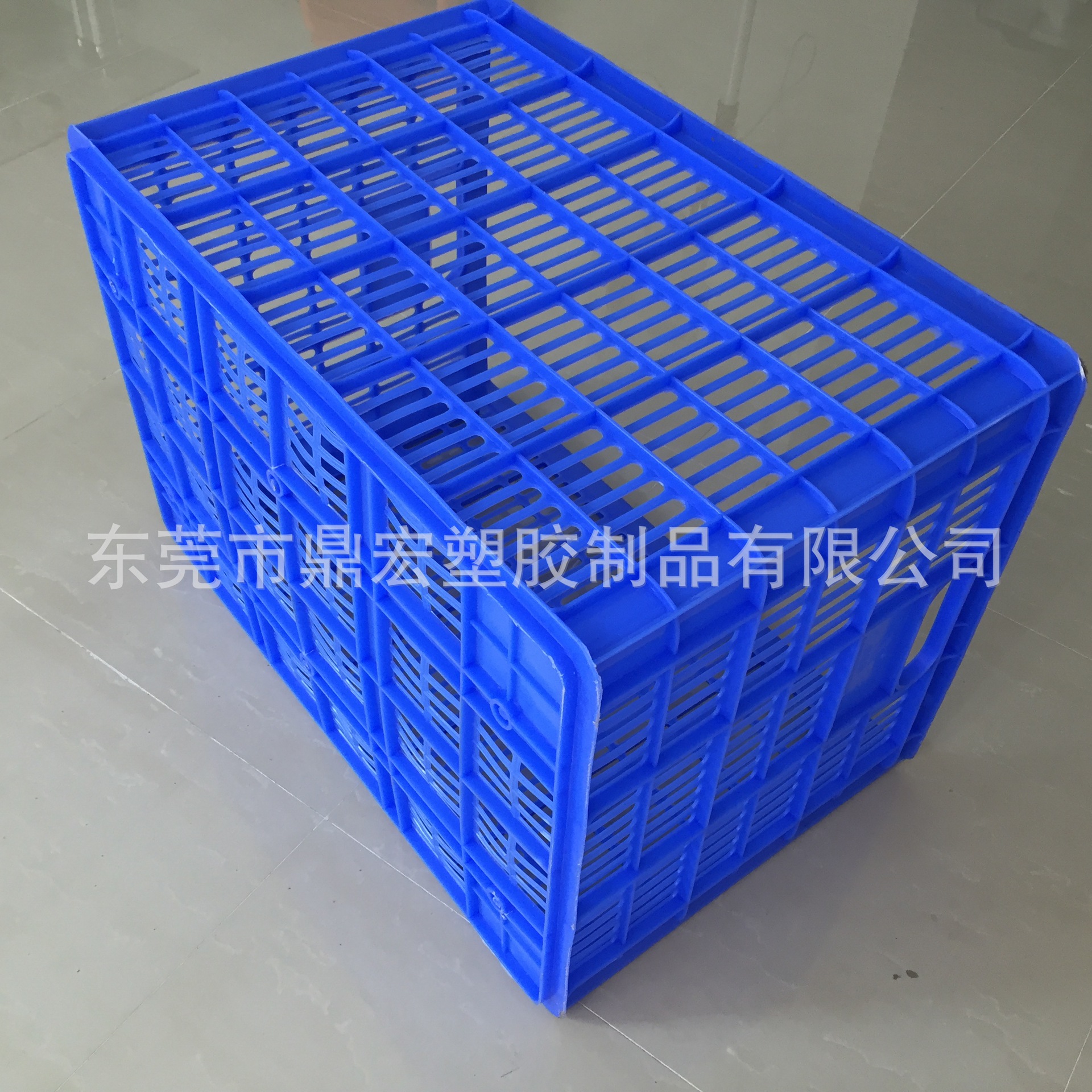 B4號(hào)蘿 (8)