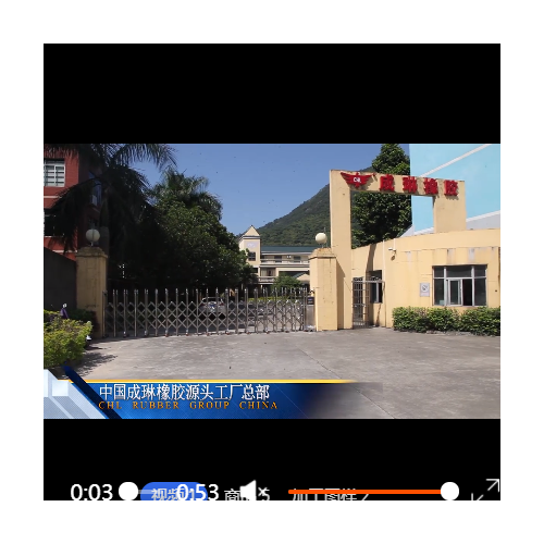 成琳橡膠 透明定制6-8mm飲水機(jī)食品級(jí)硅膠管耐高溫硅膠水族排氣管