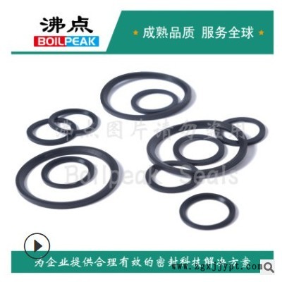 氟膠ED圈 G1/2A 斜角平墊 德標DIN3869-21-FKM 50.4*56.7*2