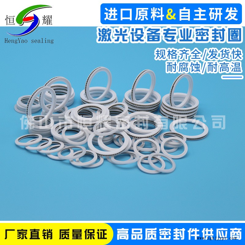 批發(fā)激光設(shè)備專業(yè)密封圈 機(jī)械密封圈 進(jìn)口密封件泛塞封密封件示例圖4