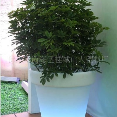 提供大型滾塑加工，滾塑花盆，異型滾塑加工(圖)