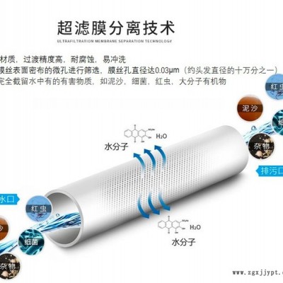 UF超濾膜  PVDF超濾膜，PVDF材質(zhì)膜絲  柱式超濾膜，替代2860
