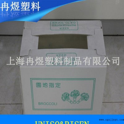 塑料中空板箱，PP中空板箱，環(huán)保塑料周轉(zhuǎn)箱 生產(chǎn)