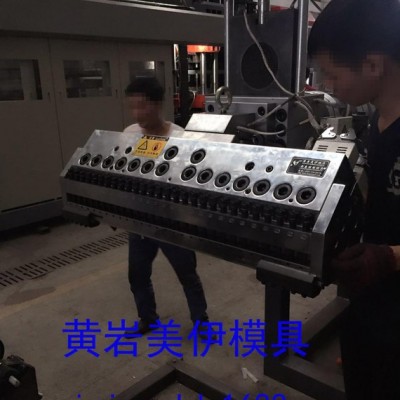 片材PP擠出成型模具 精密片材擠出模具，臺州黃巖PMMA片材模具，