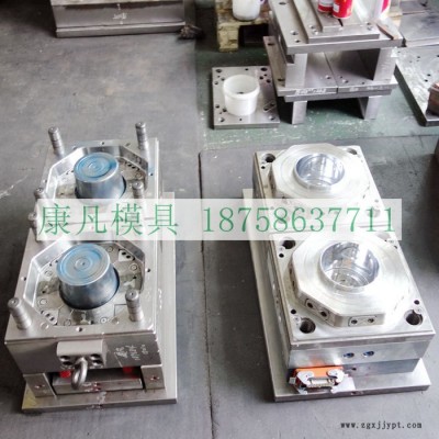 浙江臺(tái)州黃巖塑料模具廠，熱流道2腔塑膠桶模具 塑料包裝桶模具