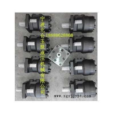 批量供應(yīng)BMR-250擺線液壓馬達(dá) 塑料模具專用馬達(dá)