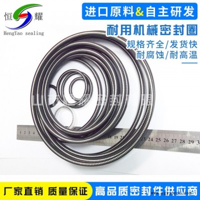 批發(fā)供應(yīng)機(jī)械醫(yī)用密封圈 定制彈簧蓄能密封圈 自動(dòng)化設(shè)備密封圈