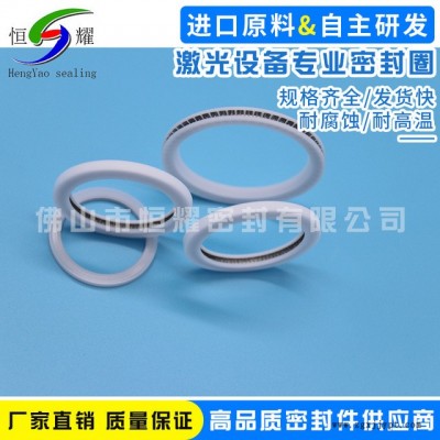 專業(yè)激光設(shè)備密封件 機械密封圈 優(yōu)質(zhì)密封件 激光設(shè)備專業(yè)密封圈