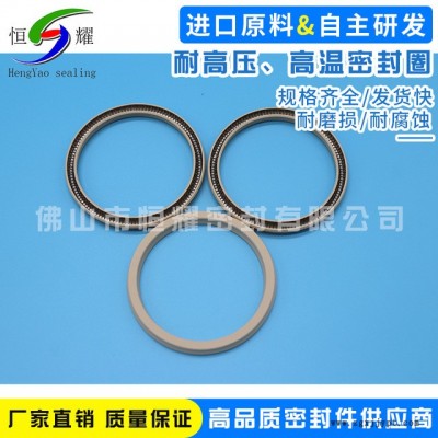 廠家專業(yè)定做各種高壓高溫密封圈 批發(fā)銷售機械轉(zhuǎn)軸密封圈 可定制