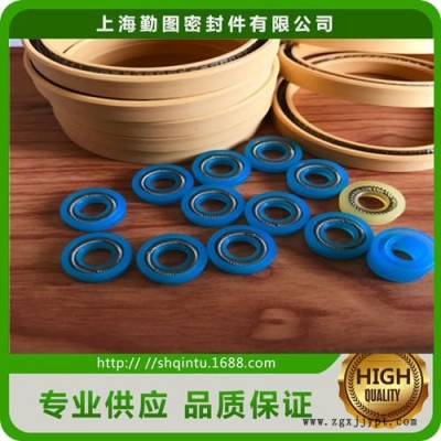 長期供應(yīng)耐低溫密封圈 彈簧旋轉(zhuǎn)蓄能泛塞封 孔軸用密封圈 耐磨損
