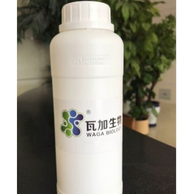 山東專用水性木器漆專用抗菌劑高品質(zhì)的選擇 誠(chéng)信互利 上海瓦加生物科技供應(yīng)