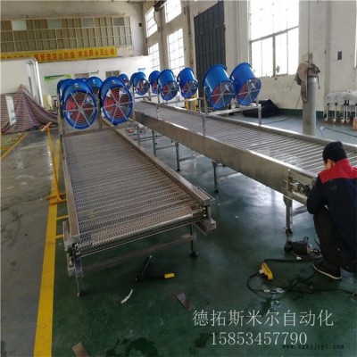 德拓廠家直銷(xiāo)不銹鋼網(wǎng)帶傳送帶 塑料條子傳送帶生產(chǎn)線(xiàn) 色母粒降溫流水線(xiàn)