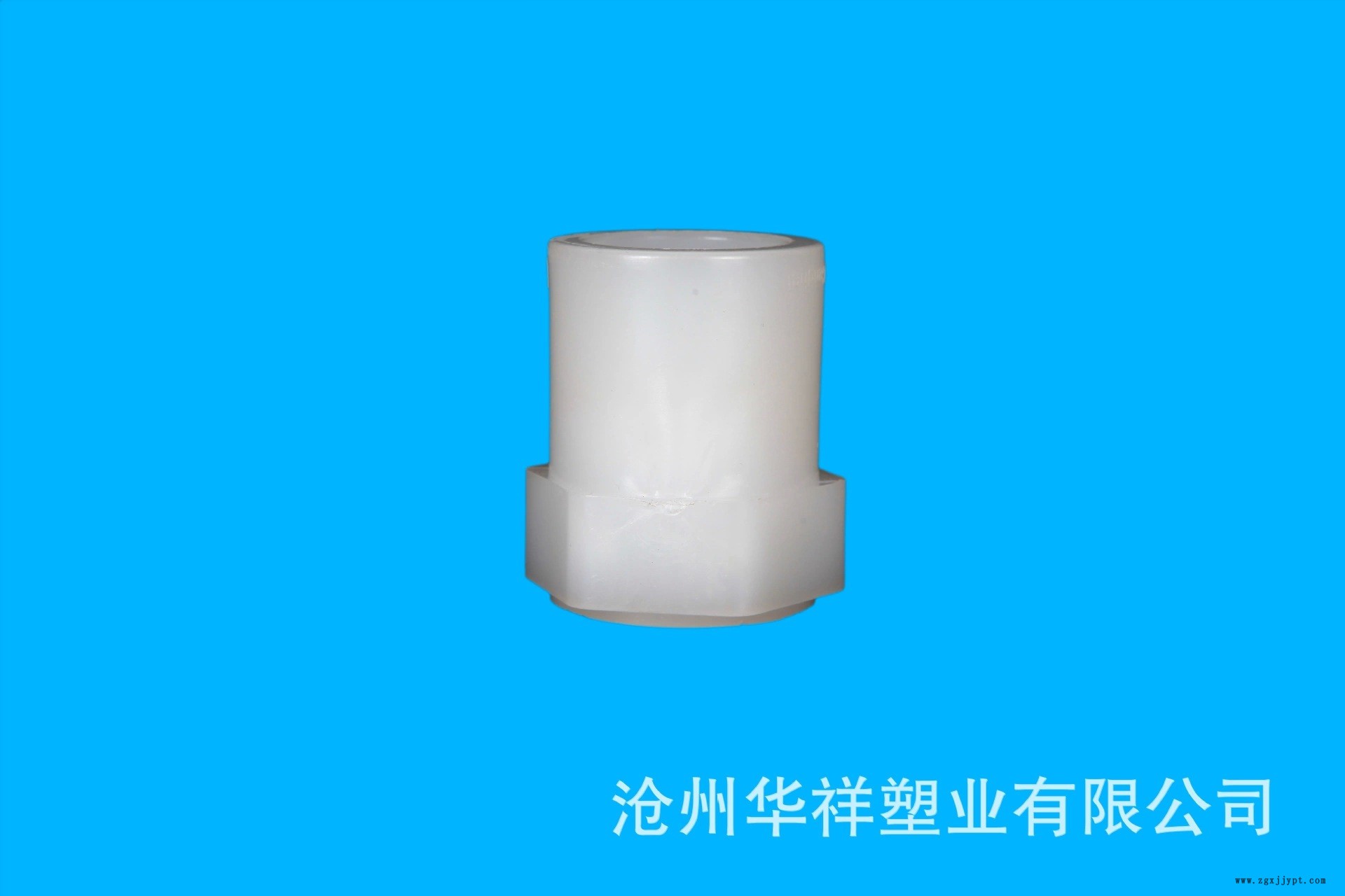 PVDF內絲直接a.webp