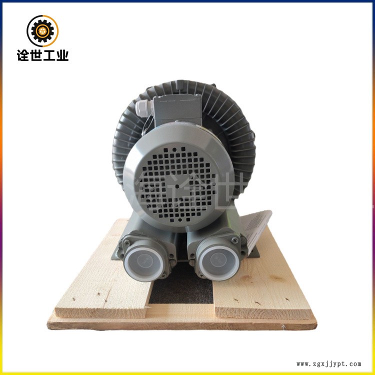 DG-300-26吹膜機用臺灣達(dá)綱鼓風(fēng)機