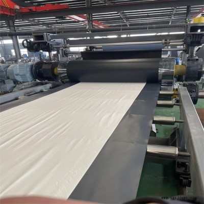 丁基膠防水卷材擠出機(jī)_丁基膠防水片材擠出機(jī)_玖德隆塑機(jī)
