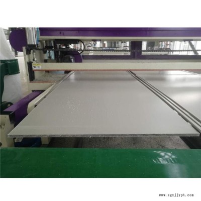 金緯片板設備制造 ***的中空建筑模板生產(chǎn)線報價