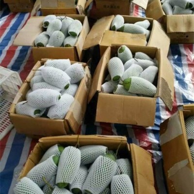 龍口云生售后(圖)-芒果網(wǎng)套機械價格-昆明網(wǎng)套機械