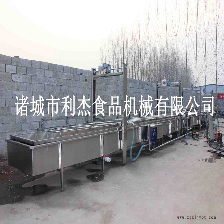 海帶全自動清洗機/機械手海帶專用清洗機/多功能清洗風干流水線示例圖3