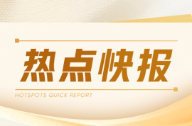 橡膠豆粕鐵礦 2501 合約夜盤(pán)觀點(diǎn)匯總：